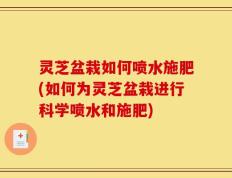 灵芝盆栽如何喷水施肥(如何为灵芝盆栽进行科学喷水和施肥)