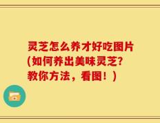 灵芝怎么养才好吃图片(如何养出美味灵芝？教你方法，看图！)
