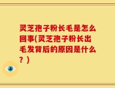 灵芝孢子粉长毛是怎么回事(灵芝孢子粉长出毛发背后的原因是什么？)