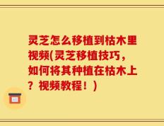 灵芝怎么移植到枯木里视频(灵芝移植技巧，如何将其种植在枯木上？视频教程！)