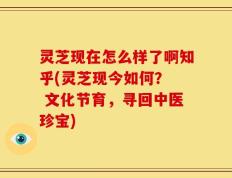 灵芝现在怎么样了啊知乎(灵芝现今如何？  文化节育，寻回中医珍宝)