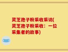 灵芝孢子粉采收采访(灵芝孢子粉采收：一位采集者的故事)