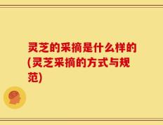 灵芝的采摘是什么样的(灵芝采摘的方式与规范)