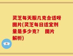 灵芝每天服几克合适呀图片(灵芝每日适宜剂量是多少克？  图片解析)