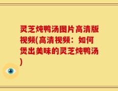 灵芝炖鸭汤图片高清版视频(高清视频：如何煲出美味的灵芝炖鸭汤)