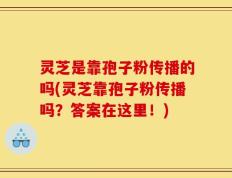 灵芝是靠孢子粉传播的吗(灵芝靠孢子粉传播吗？答案在这里！)