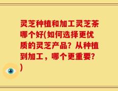 灵芝种植和加工灵芝茶哪个好(如何选择更优质的灵芝产品？从种植到加工，哪个更重要？)