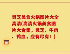 灵芝美食火锅图片大全高清(高清火锅美食图片大合集，灵芝、牛肉、鸭血，应有尽有！)