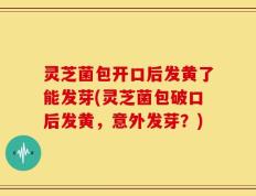 灵芝菌包开口后发黄了能发芽(灵芝菌包破口后发黄，意外发芽？)