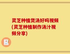 灵芝种植煲汤好吗视频(灵芝种植制作汤汁视频分享)