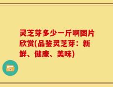灵芝芽多少一斤啊图片欣赏(品鉴灵芝芽：新鲜、健康、美味)