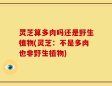 灵芝算多肉吗还是野生植物(灵芝：不是多肉也非野生植物)