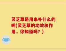 灵芝草是用来补什么的呢(灵芝草的功效和作用，你知道吗？)