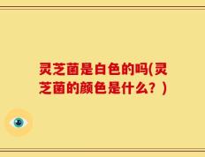 灵芝菌是白色的吗(灵芝菌的颜色是什么？)