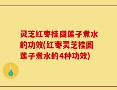 灵芝红枣桂圆莲子煮水的功效(红枣灵芝桂圆莲子煮水的4种功效)