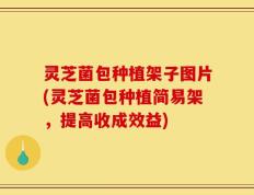灵芝菌包种植架子图片(灵芝菌包种植简易架，提高收成效益)