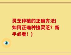 灵芝种植的正确方法(如何正确种植灵芝？新手必看！)