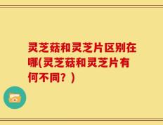 灵芝菇和灵芝片区别在哪(灵芝菇和灵芝片有何不同？)