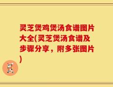 灵芝煲鸡煲汤食谱图片大全(灵芝煲汤食谱及步骤分享，附多张图片)