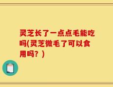 灵芝长了一点点毛能吃吗(灵芝微毛了可以食用吗？)