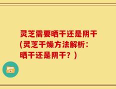 灵芝需要晒干还是阴干(灵芝干燥方法解析：晒干还是阴干？)