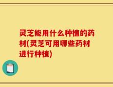 灵芝能用什么种植的药材(灵芝可用哪些药材进行种植)