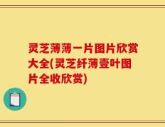 灵芝薄薄一片图片欣赏大全(灵芝纤薄壹叶图片全收欣赏)