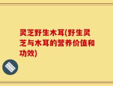 灵芝野生木耳(野生灵芝与木耳的营养价值和功效)