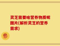 灵芝需要啥营养物质呢图片(解析灵芝的营养需求)