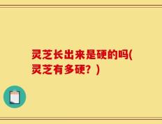灵芝长出来是硬的吗(灵芝有多硬？)