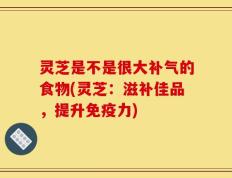 灵芝是不是很大补气的食物(灵芝：滋补佳品，提升免疫力)