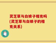 灵芝草与白娘子相克吗(灵芝草与白娘子的相克关系)