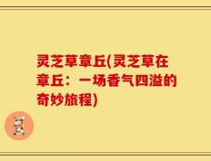 灵芝草章丘(灵芝草在章丘：一场香气四溢的奇妙旅程)