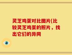 灵芝鸡蛋对比图片(比较灵芝鸡蛋的照片，找出它们的异同