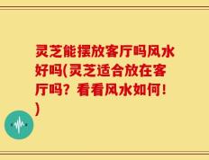 灵芝能摆放客厅吗风水好吗(灵芝适合放在客厅吗？看看风水如何！)