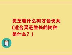 灵芝要什么树才会长大(适合灵芝生长的树种是什么？)
