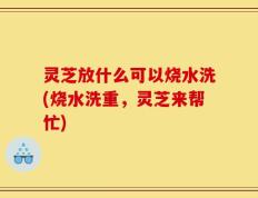 灵芝放什么可以烧水洗(烧水洗重，灵芝来帮忙)