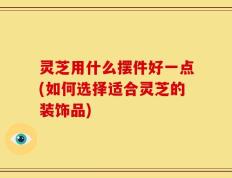 灵芝用什么摆件好一点(如何选择适合灵芝的装饰品)