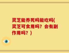 灵芝能养死吗能吃吗(灵芝可食用吗？会有副作用吗？)