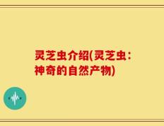 灵芝虫介绍(灵芝虫：神奇的自然产物)