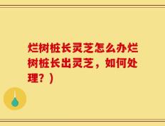 烂树桩长灵芝怎么办烂树桩长出灵芝，如何处理？)