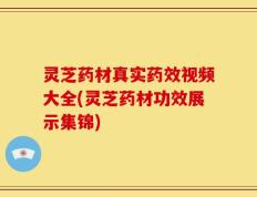 灵芝药材真实药效视频大全(灵芝药材功效展示集锦)