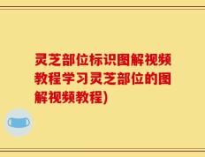 灵芝部位标识图解视频教程学习灵芝部位的图解视频教程)