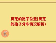 灵芝的孢子位置(灵芝的孢子分布情况解析)