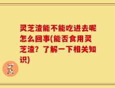 灵芝渣能不能吃进去呢怎么回事(能否食用灵芝渣？了解一下相关知识)