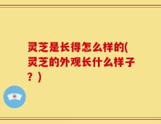 灵芝是长得怎么样的(灵芝的外观长什么样子？)