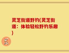 灵芝街道野钓(灵芝街道：体验轻松野钓乐趣)