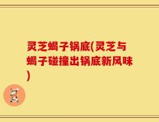 灵芝蝎子锅底(灵芝与蝎子碰撞出锅底新风味)