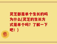 灵芝都是单个生长的吗为什么(灵芝的生长方式是单个吗？了解一下吧！)