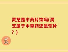 灵芝是中药片饮吗(灵芝属于中草药还是饮片？)